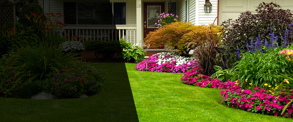 River Grove Landscapers