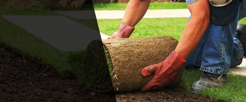 River Grove Landscapers